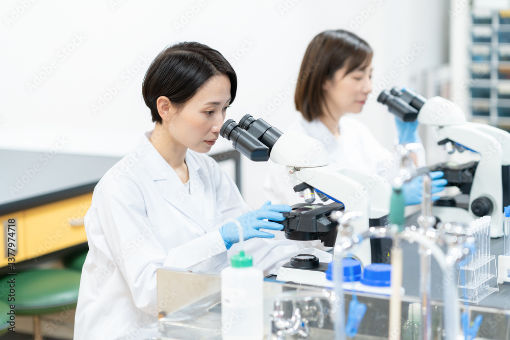 研究室で実験をする女性研究者 撮影協力 学校法人電波学園 東京電子専門学校 研究室で実験をする女性研究者 撮影協力 学校法人電波学園 東京電子専門学校