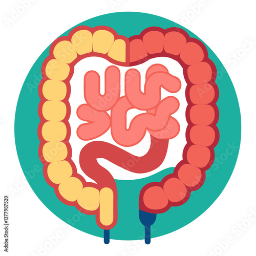Human Colon with Teal Background A Simple Flat Design for Medical and Educational Purposes