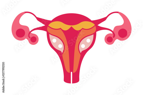 Stylized Uterus with Fallopian Tubes for Educational or Medical Purposes on White Background