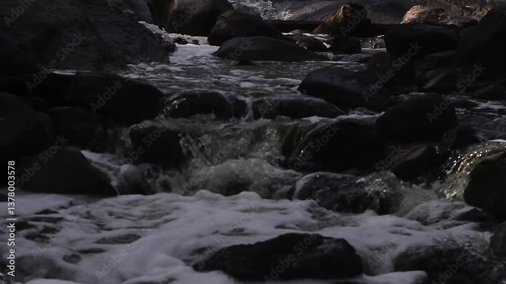 The name of this place is Kali Pait which is located in Sempol area, Ijen crater. The flowing water is sulfur water. A very beautiful place. The name of this place is Kali Pait which is located in Sempol area, Ijen crater. The flowing water is sulfur water. A very beautiful place.