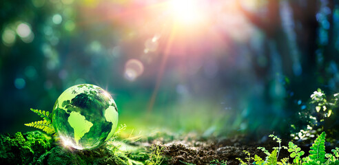 Earth Day - Glass Globe In Green Forest On Moss And Fern - Environment Concept - Defocused Abstract Background