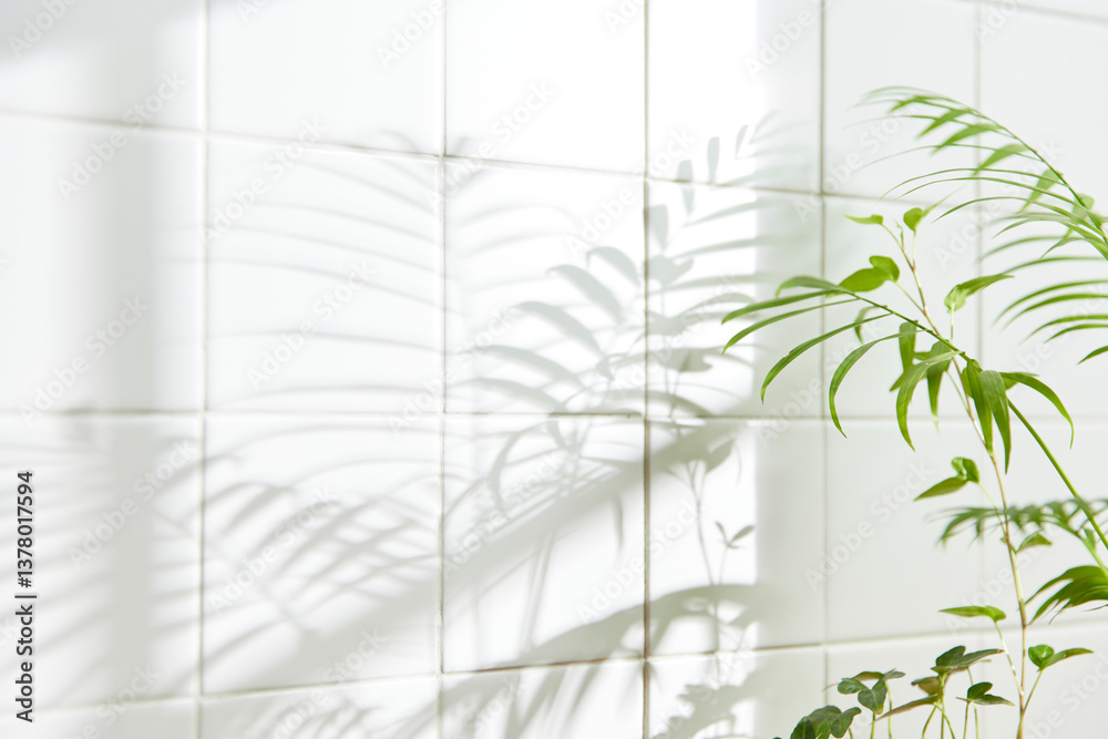 A serene space embraced by warm sunlight and
nature, where harmony, comfort, and elegant beauty
come together. A serene space embraced by warm sunlight and
nature, where harmony, comfort, and elegant beauty
come together.
