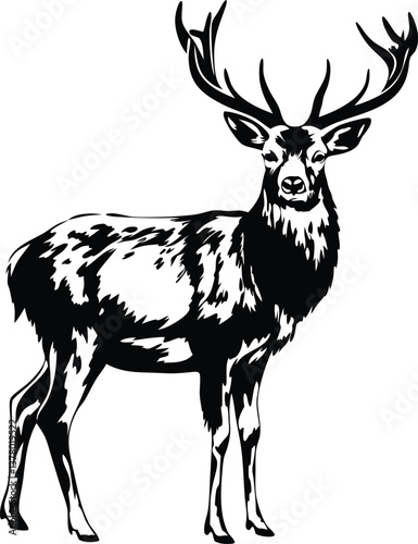 Majestic Red Deer Stag, Black and White Wildlife Art, Antlered Creature