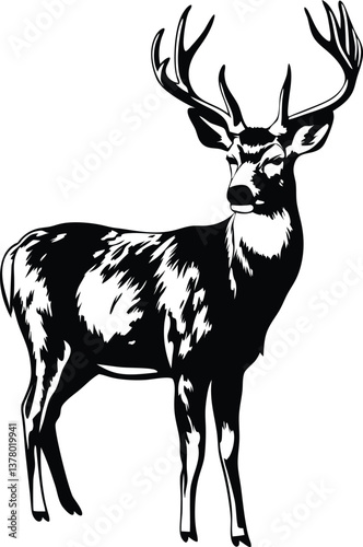 Majestic Mule Deer Buck Black and White Wildlife Art