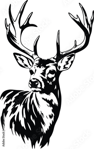 Majestic Buck Deer Head, Antlers, Wildlife, Black, White, Graphic, Illustration, Nature, Animal