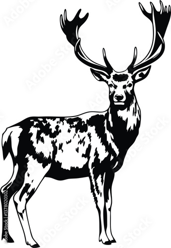 Majestic Fallow Deer Silhouette Elegant Antlered Creature