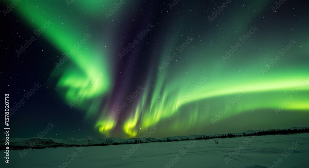 Naklejka premium Green Northern Lights in Night Sky