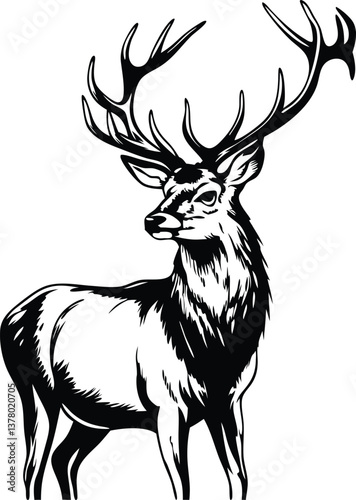 Majestic Stag Deer, Black and White, Wild Animal, Antlered Creature, Forest Icon, Nature Illustratio