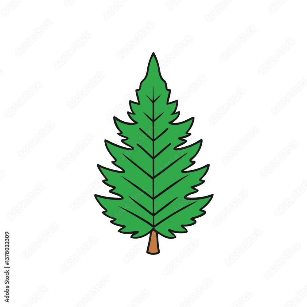 Cedar Leaf Vector Illustration – Green Nature Element on White Background Cedar Leaf Vector Illustration – Green Nature Element on White Background