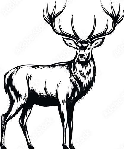 Majestic Stag, Antlered Deer, Wildlife Illustration, Black and White