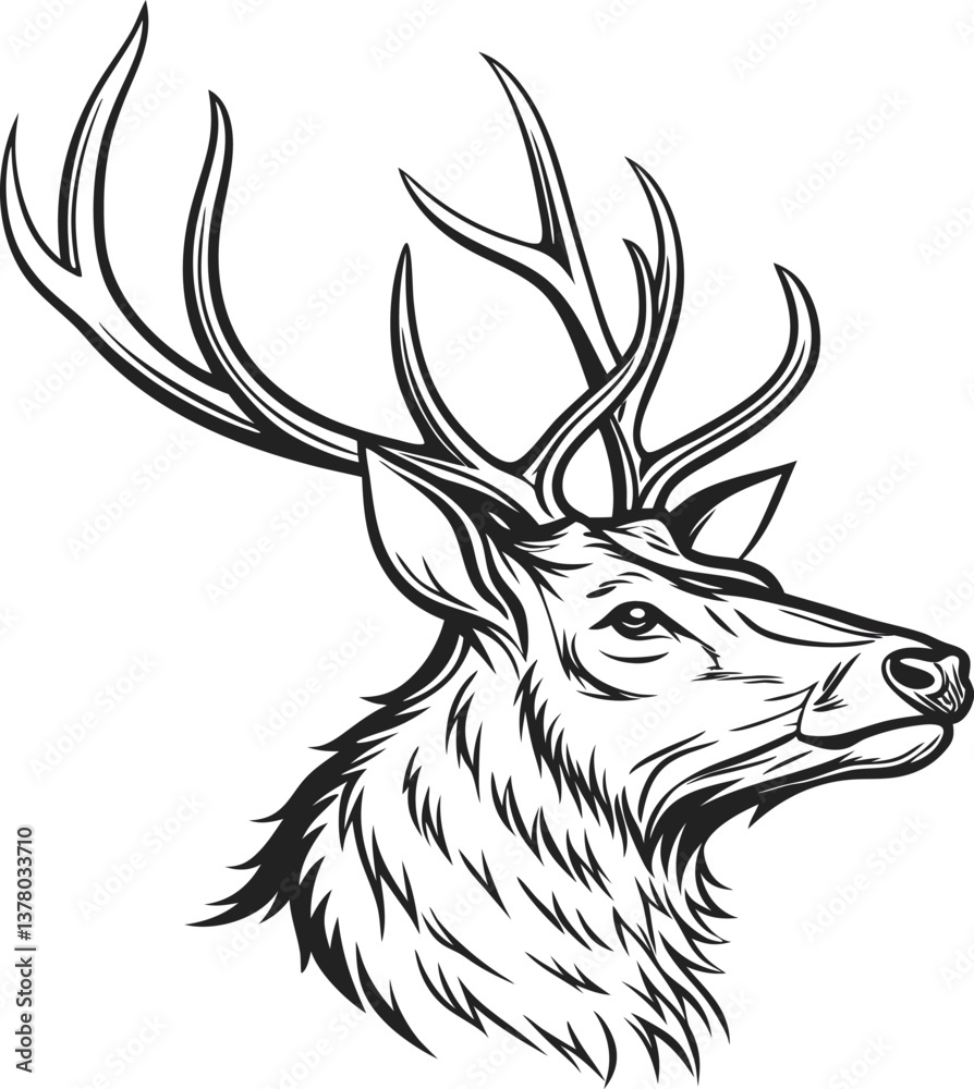 Obraz premium Majestic Stag Head Profile Antlers, Fur, Wildlife, Nature, Design