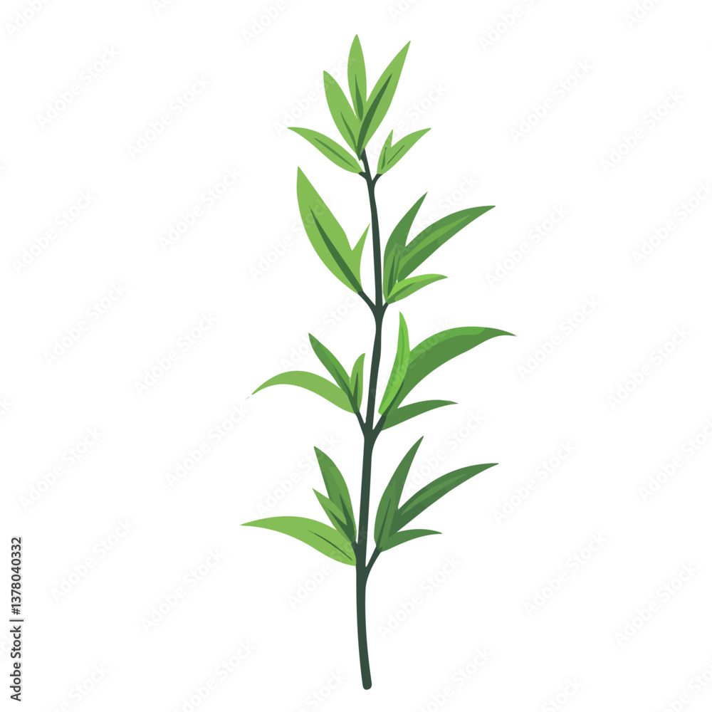 Tarragon, Flat vector, minimalist design, isolated on a white background. Tarragon, Flat vector, minimalist design, isolated on a white background.