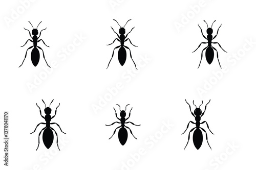 Six Black Silhouettes of Ants