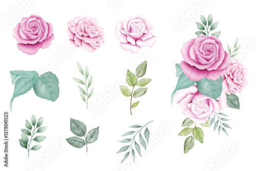 set of pink roses vector