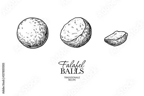 Falafel Balls vector drawing. Fried chickpea balls pieces sketch. Arabic halal food illustration. 