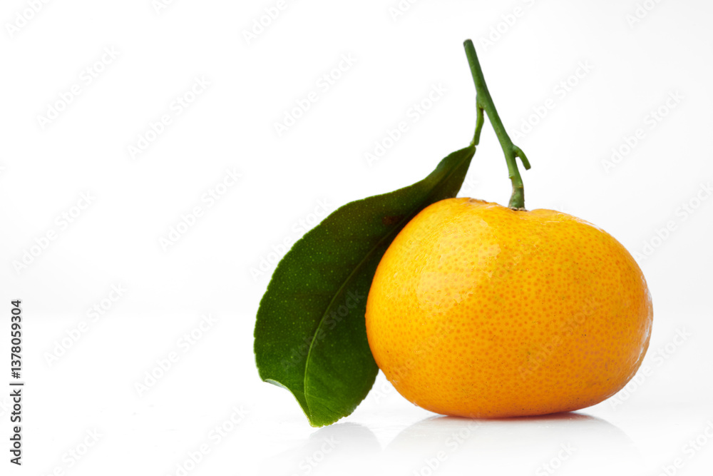 Close up Shot of a Small Orange With Vibrant Texture and Green Leaf Against a Clean White Background Close up Shot of a Small Orange With Vibrant Texture and Green Leaf Against a Clean White Background