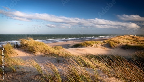 windswept cape henlopen dunes in sussex county lewes delaware