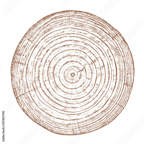 Tree wood texture. Wooden old trunk. Cut timber log. Abstract rings nature pattern. Brown circle stump. Wood cross section. 