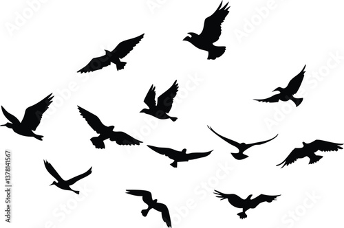 Flying Birds Silhouette, Flock of Birds in Flight, Transparent Background, Black Silhouettes
