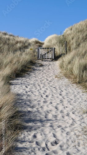 Weg zum Strand in Dänemark