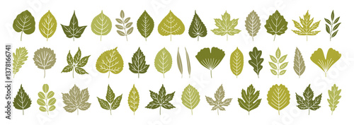 Big set of diverse spring leaves in green colors. Summer background, foliage of maple, birch, oak, poplar, acacia, ginkgo, and others isolated on white. Silhouette textured icons, vector illustration
