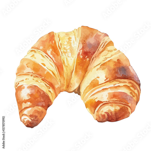 A watercolor painting of a croissant, isolated on a white background. Croissant vector

