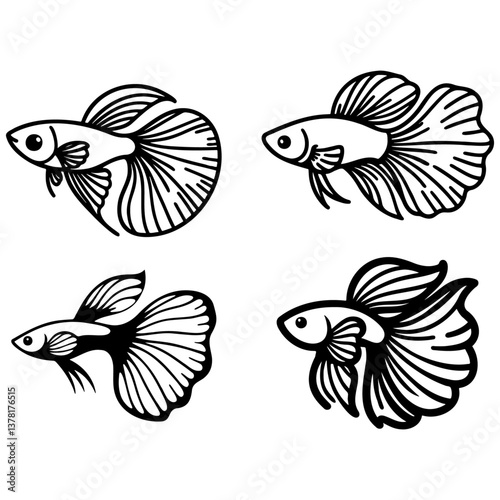 Guppy Fish Sketch Drawing.
