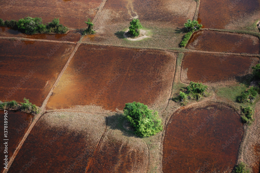 Obraz premium Aerial view landscape cityscape small village countryside rural with paddy rice field of Angkor Wat at SiemReap city from balloon fly bring travelers travel visit in Siem Reap, Cambodia