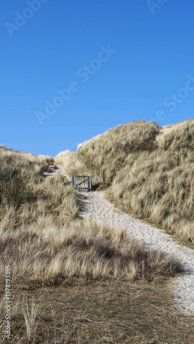 Weg zum Strand durch die Dühnen