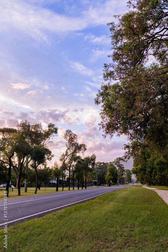 trees lining main street through country village of Broke in Hunter Valley in dawn light trees lining main street through country village of Broke in Hunter Valley in dawn light