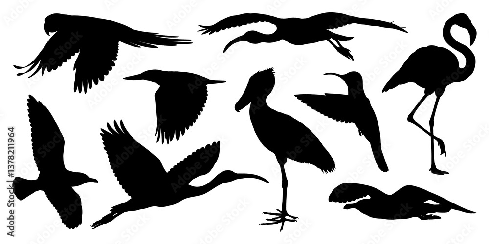 Obraz premium Black silhouette illustrations of various birds isolated on transparent background