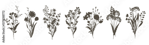 Flower bouquet Set. Silhouette in black. Compositions delicate wildflowers, meadow herbs, branches and leaves, garden plants. Vector illustration