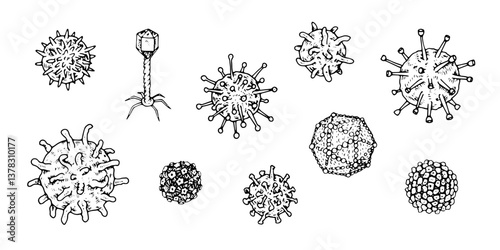 Vector illustration set of various Viruses in black and white. Hand drawn Viral cells, including bacteriophage and adenovirus for medical designs. Isolated objects in line art technique