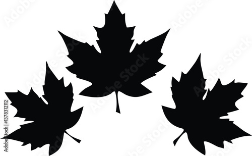 Three Silhouette Maple Leaf Designs on Transparent Backgrounds, Autumnal Style