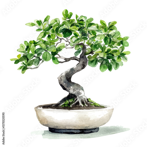 A watercolor vector painting of Jade Bonsai, isolated on a white background.

