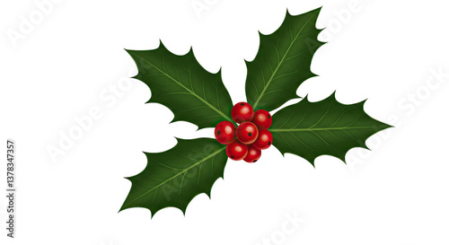 A Gracefully Curved Arrangement of Three Holly Leaves With a More Natural, Flowing Shape