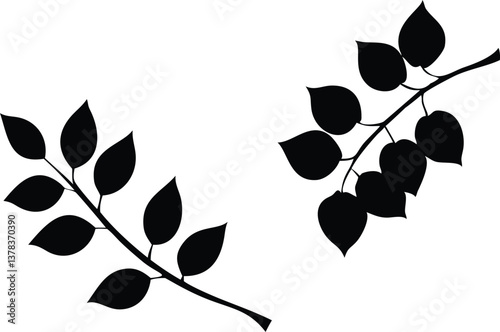 Branches With Leaf Silhouettes Isolated on Transparent Background, Botanical Elements