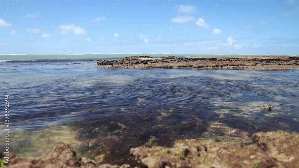 Low POV static shot of natural pool on tropical beach, Brazil Low POV static shot of natural pool on tropical beach, Brazil