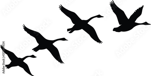 Flying Geese Silhouettes In Formation Against Transparent Background Bird Migration