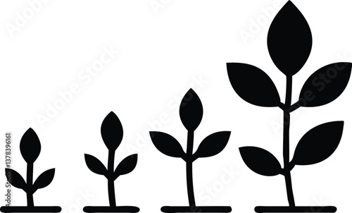 Growing Plant Stages in Black Silhouette on Transparent Background | Growth Stages