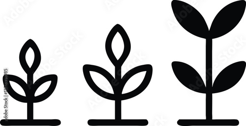 Growth Stages Minimalist Plant Icons in Black on Transparent Background