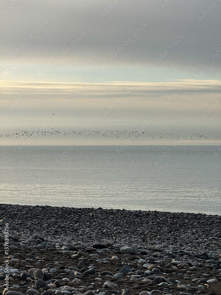 Pebble Beach with Birds Flying Over Calm Sea