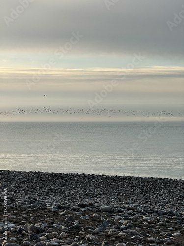 Obraz na płótnie Pebble Beach with Birds Flying Over Calm Sea w salonie
