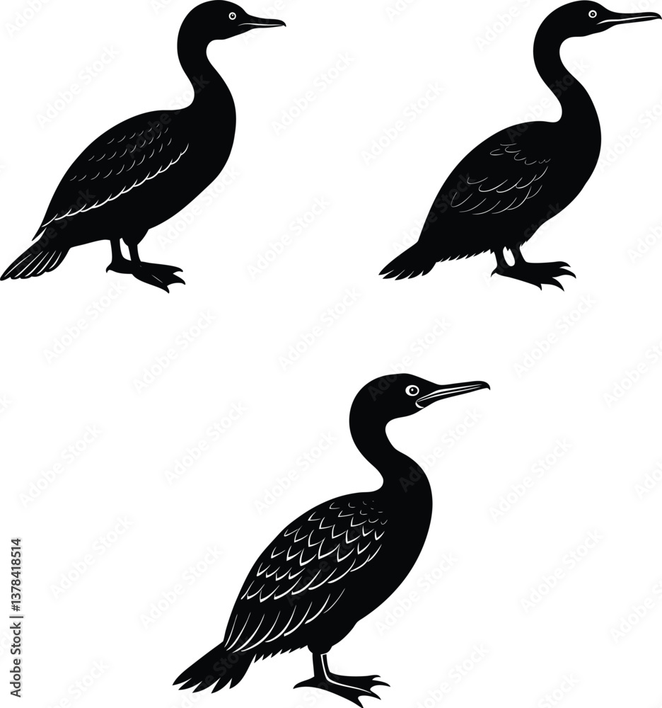 Fototapeta premium Extinct bird palls cormorant silhouette vector