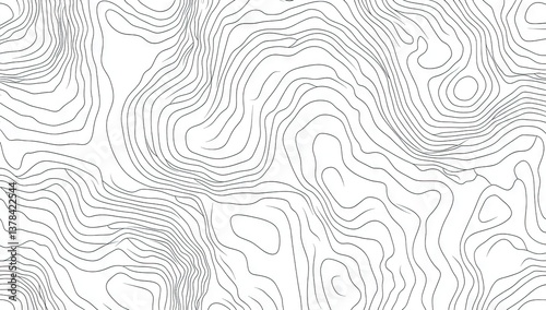 Abstract topographic map design.  A seamless, flowing pattern of contour lines resembling a stylized terrain map.  
