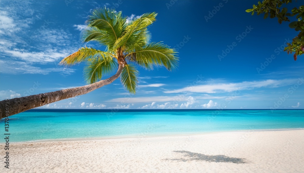 tropical beach and palm tree tropical beach and palm tree