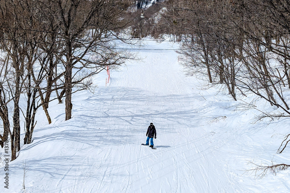 Snowboarder on a gentle ski slope at Hakuba in Nagano, Japan