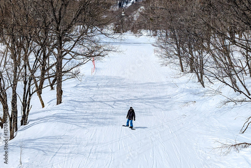 Obraz na płótnie Snowboarder on a gentle ski slope at Hakuba in Nagano, Japan w salonie