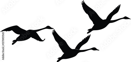 Flying Swans Silhouette, Graceful Bird Flight, Fauna Wildlife on Transparent