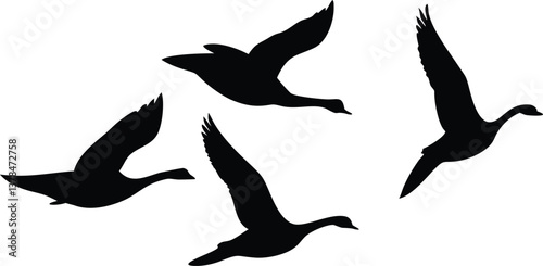 Silhouettes of Flying Geese Against a Transparent Backdrop, Migratory Birds in Flight